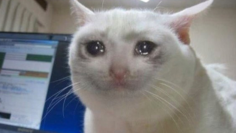 Original wide Crying Cat photo